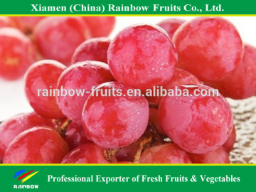 export delicious sweet fresh red globe grape red globe grape from China