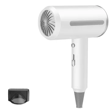 Electric Household High Power Ion Hair Salon Hot and Cold Wind Hair Dryer