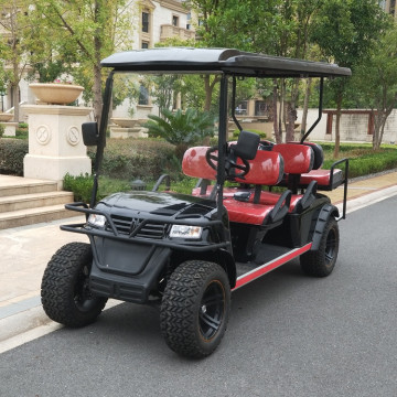 Carrinhos de golfe elétricos com elevação personalizada de 2 assentos