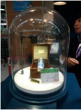 Glass Dome Disney Beauty and the Beast