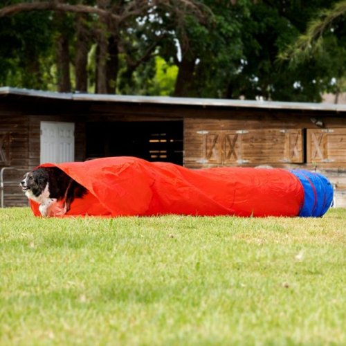 Peralatan Latihan Terowong Ketangkasan Anjing Midlee