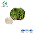 Vanilla Powder - Bulk Water-Soluble Natural Flavor for Beverages & Foods