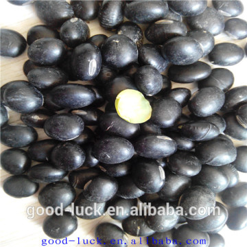 black beans with green inside for sale (2014 crop)