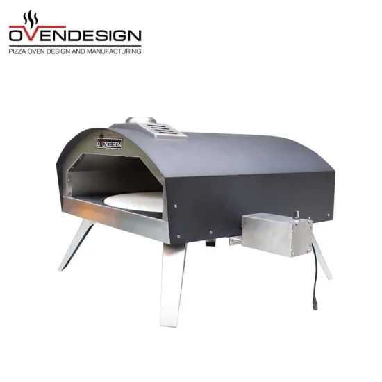 Unique Stove Burner Electric And Gas Pizza Oven With 360 Degrees Rotating Electric Stove Burner BBQ Grills For Wedding Party