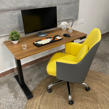 Tables en bois de bureau d&#39;ordinateur debout électriques pour le bureau