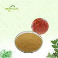 Saffron extract powder for sale