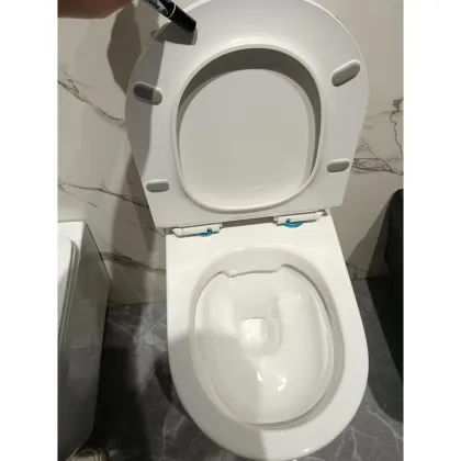 WC Rimless Wall Mounted Toilet