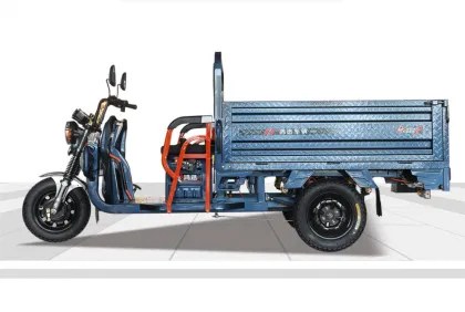 Elderly mobility vehicle electric tricycle