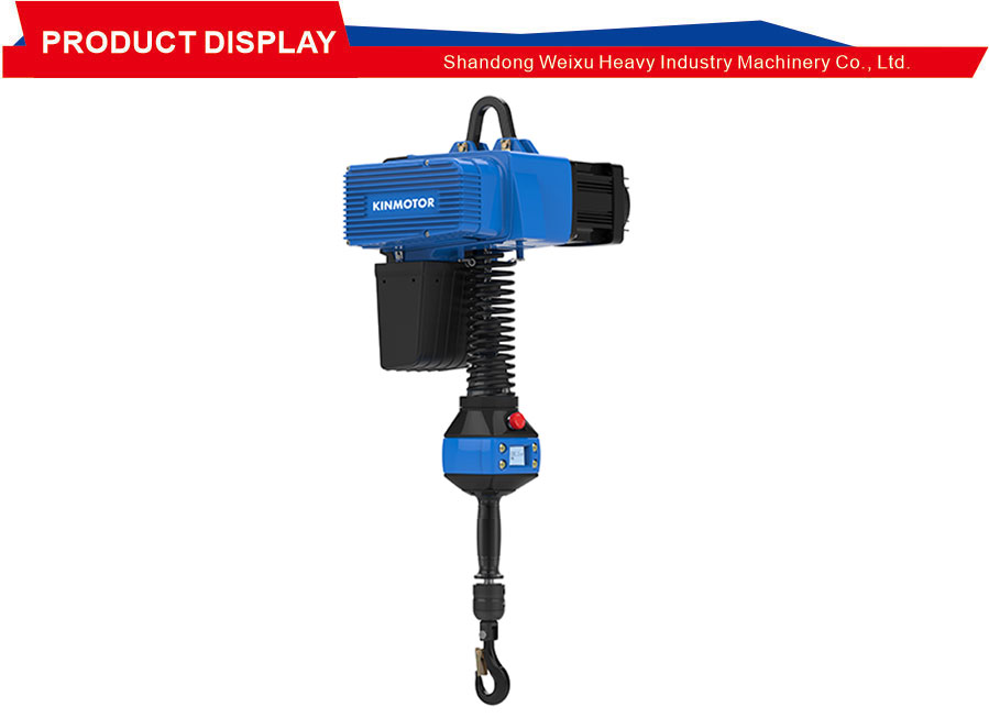 Gold Axis High Tech Hoist