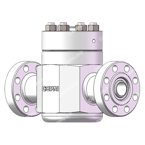 Lift Check Valve