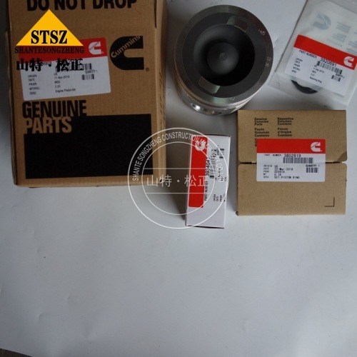 4VBE34RW3 Ersatzteile Kolben Kit 3802927