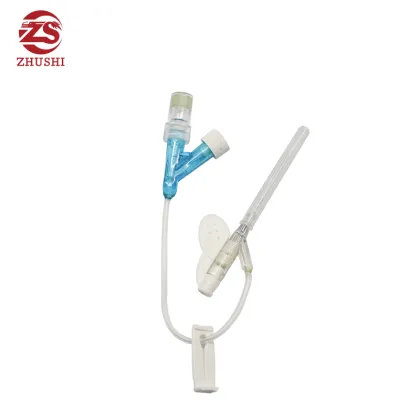Sterilized intravenous indwelling needle