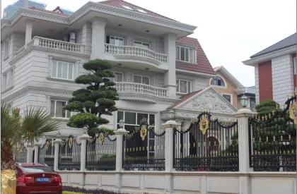 Luxury Decorative Forge Iron Fence for Villa