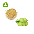 Phyllanthus Emblica Fruit Extract Powder 10:1