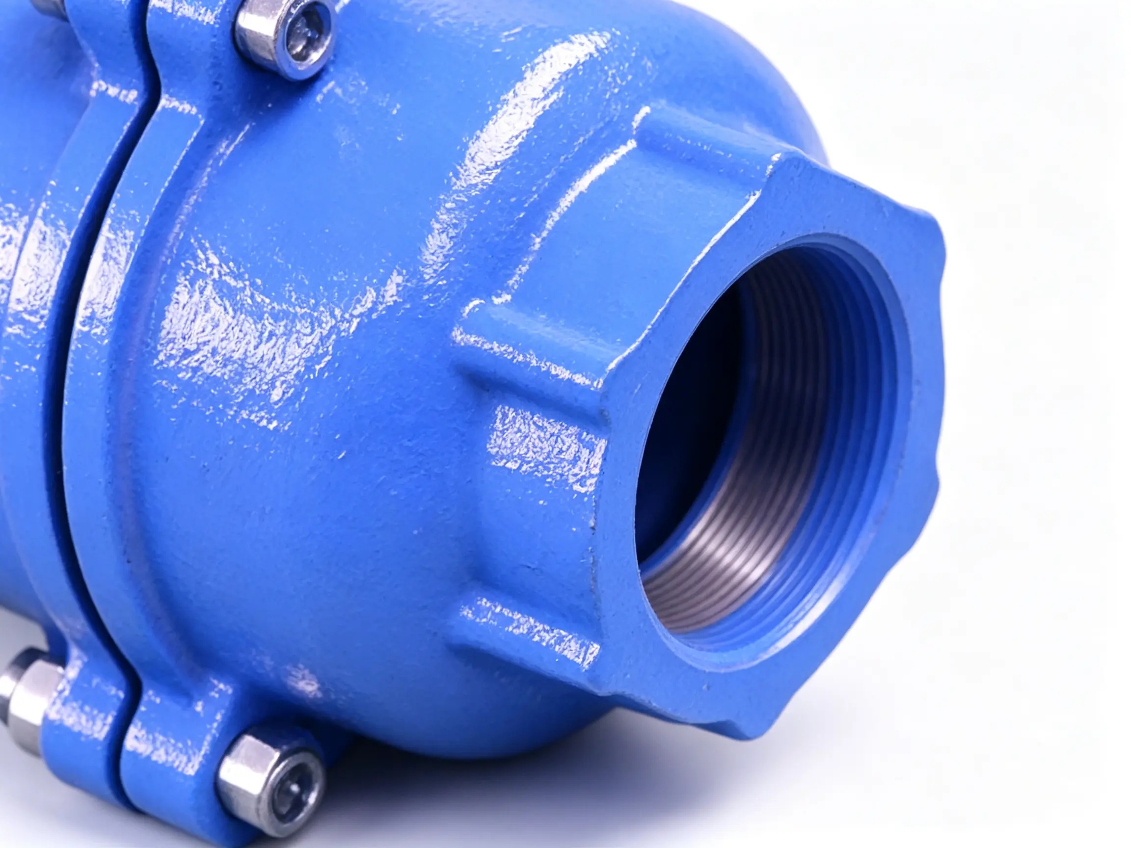 Check Valve