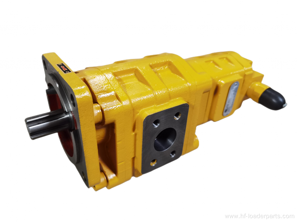 Double hydraulic gear pump for SEM50F SDLG 956
