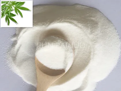 Hemp Seed Oil Powder Health Ingredient