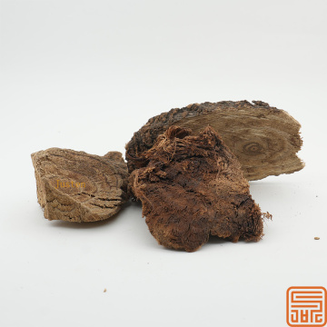 Extracto multiflorum de Polygonum tetrahidroxystilbene glucósido 20%