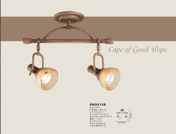 The Cape of Good Hope Downlighting