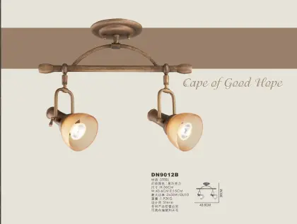The Cape of Good Hope Downlighting