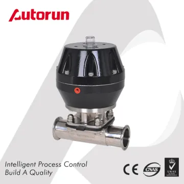 Chinese Wenzhou Supplier Welding Sanitary Grade Pneumatic Diaphragm Valve