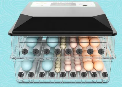 Mini Eggs Incubator for Rolling Turning Hatching Goose, Turkey, Quail, Duck, and Chicken Eggs for Sale