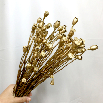 Nature's Little Love: Dried Flower Pods for DIY Floral Arrangements & Decor