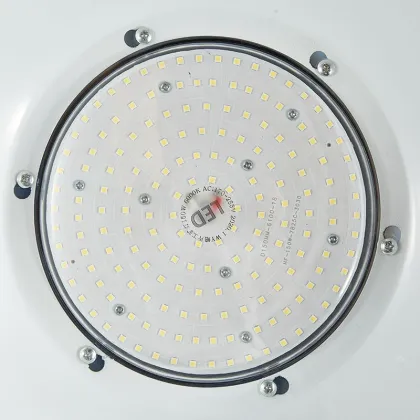 Industrial and Mining LED Safety Lamp