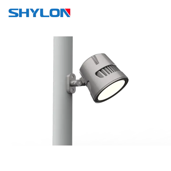 100W Outdoor Pole Light: LED Outdoor Lighting 100 Watt LED Flood Light