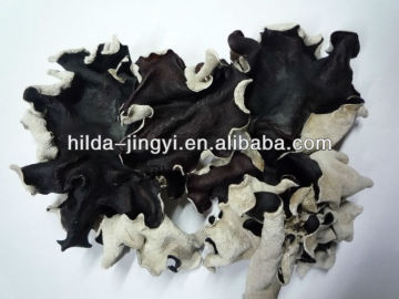 Dried black fungus mushroom