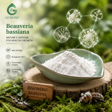 Beauveria Bassiana Powder Biological Control Fungus