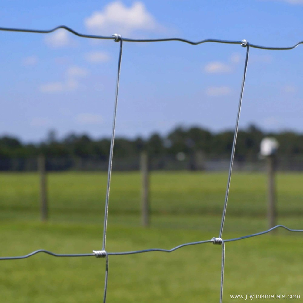 Dipped Galvanized Hinge Knot Woven Wire Field Fence