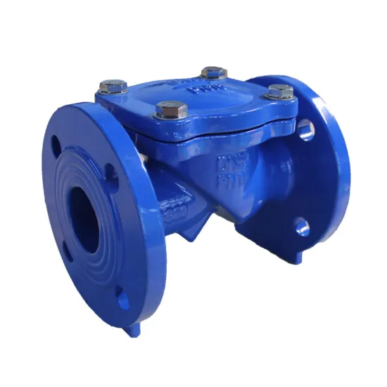 High Quality DIN Swing Type Check Valve One Way Non Return Swing Check Valve