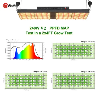 Shen Zhen Bava Green 240W Adjustable Dimmable Samsung LM301B LED Grow Lights for Greenhouse and Indoor Plant Growth