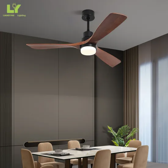 Best Stainless Combination Portable LED Ceiling Fan Light
