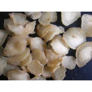 Hot Selling Ligusticum Wallichii Extract Rhizoma Chuanxiong Extract