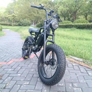 20 -calowy 48 V 1000 W tłuszcz opona EBIKE