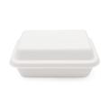 Disposable Environmentally degradable Takeout Sugarcane Salad sushi Healthy Food bagasse box