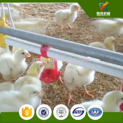 Factory direct sales automatic valve chicken nipple drinker with clips