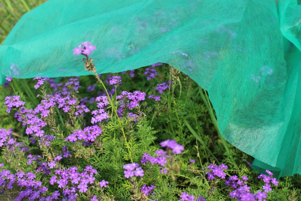 Bolsa de almacenamiento de flores y plantas al aire libre con cordero