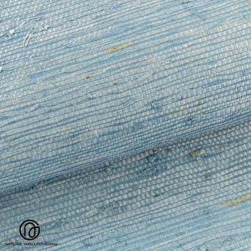 Fresh Light Blue Calathea Wallpaper with Dynamic Texture