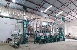 Low investment 30 Ton complete maize milling equipment