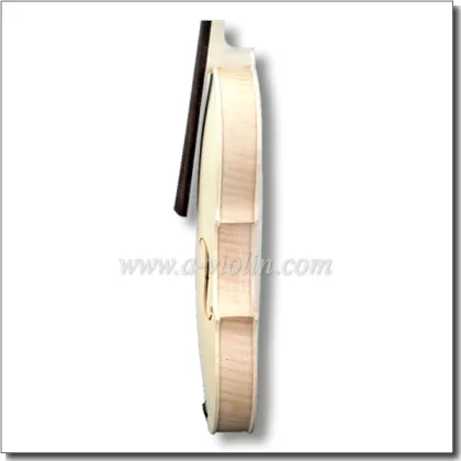 Unvarnished Violin