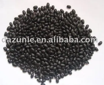 Polished Black Kidney Beans