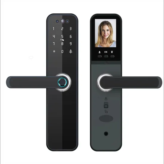 Tuya App Compatible Camera Monitor with Multi-Language Voice Speaker and Biometric Fingerprint Face Unlock
