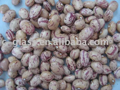 speckled kidney beans 2010