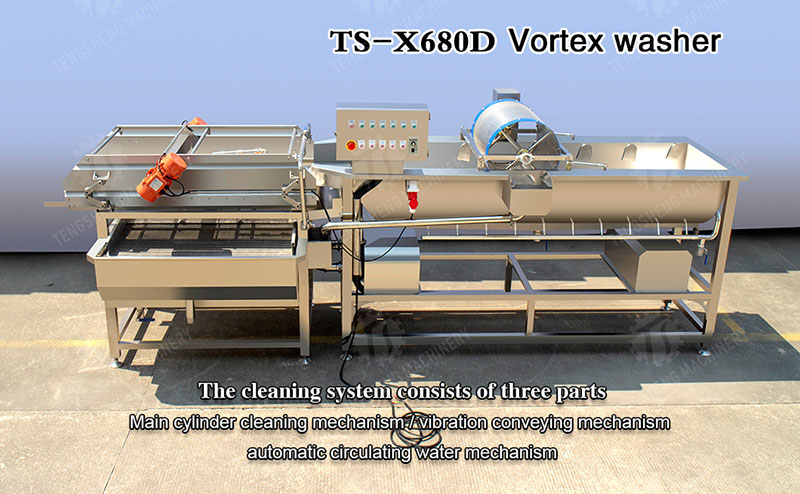 vegetable washing machine