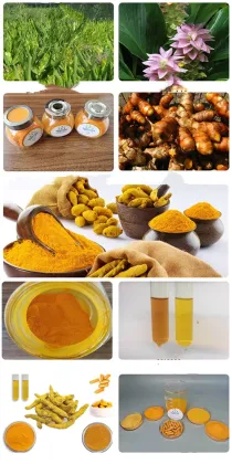 Natural turmeric Root Extract Curcumin Powder Curcumin 95%