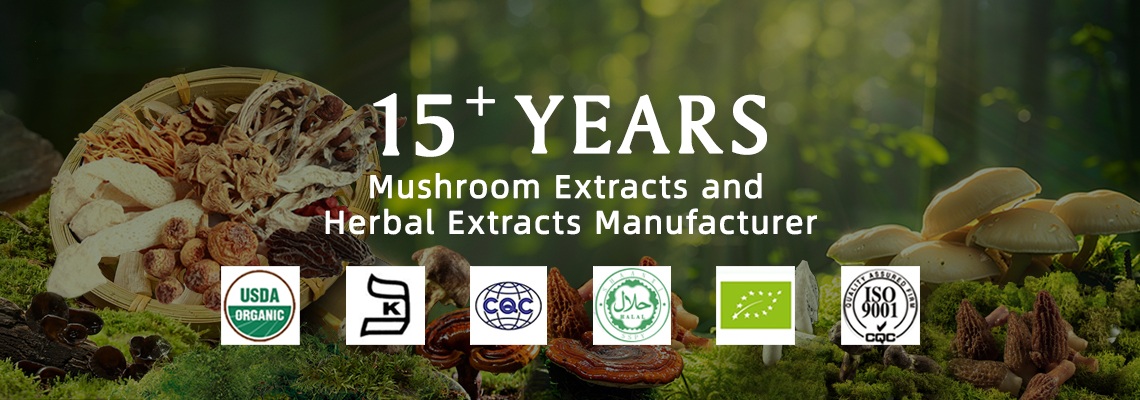 mushroom extract benefits for skin