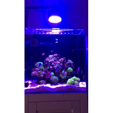 Phlizon LED Aquarium Light WiFi IR Control 80W